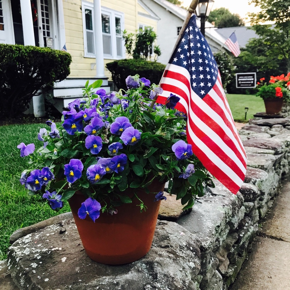 Meet your Posher, Sue